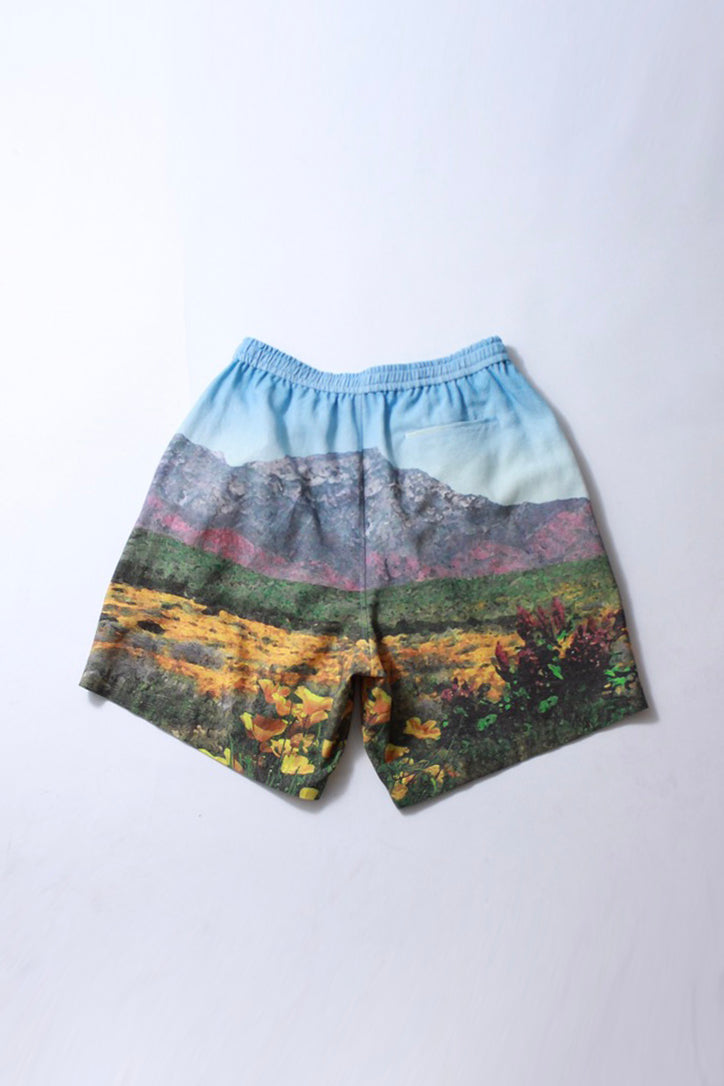 All Prints Mid Shorts