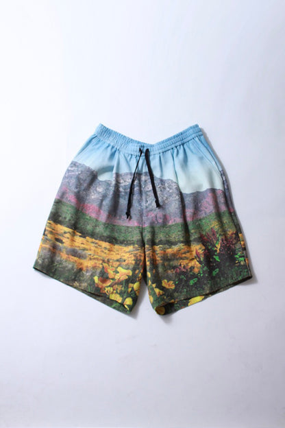 All Prints Mid Shorts